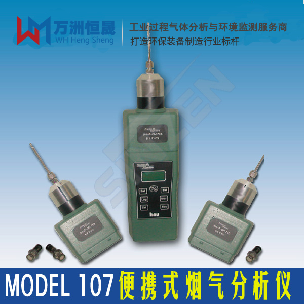 Model 107便携式烟气分析仪