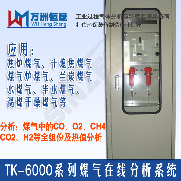 TK-6000型 焦炉煤气氧含量在线分析系统